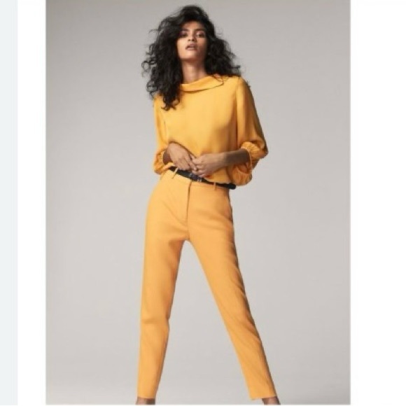 Massimo Dutti Mustard Pants - Picture 1 of 9